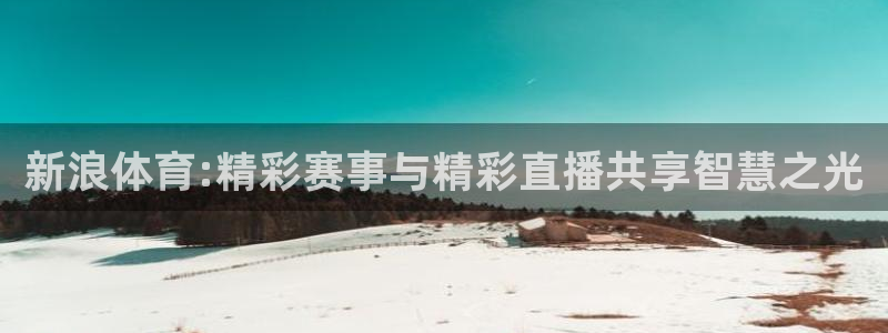 833足球直播比赛在线观看：新浪体育:精彩赛事与精彩直播共享智慧之光