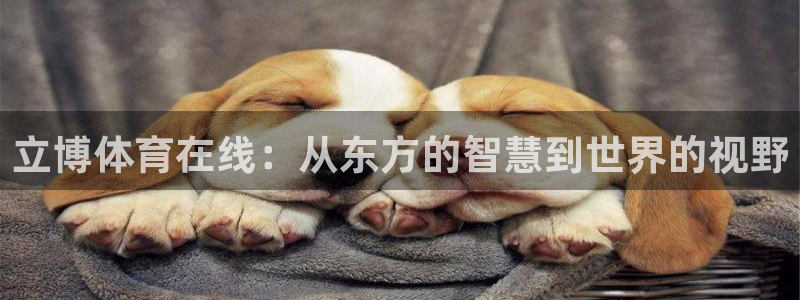 833体育直播：立博体育在线：从东方的智慧到世界的视野