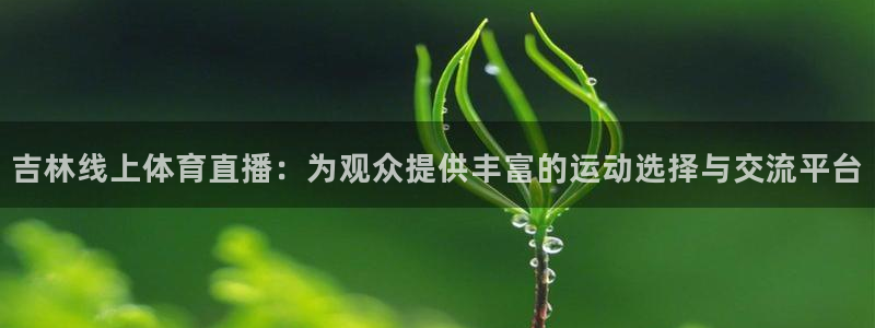 833直播足球直播：吉林线上体育直播：为观众提供丰富的运动选择与交流平台