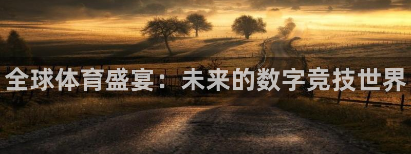 833足球比赛直播：全球体育盛宴：未来的数字竞技世界