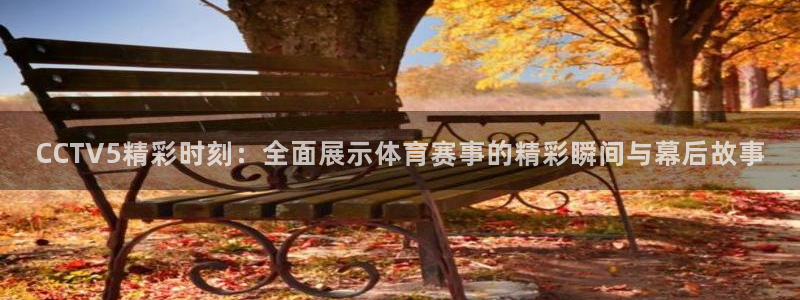 833体育直播在线观看：CCTV5精彩时刻：全面展示体育赛事的精彩瞬间与幕后故事