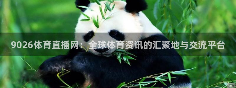 833足球比赛直播免费观看：9026体育直播网：全球体育资讯的汇聚地与交流平台