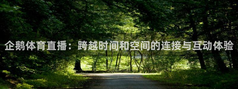 833篮球直播在线直播：企鹅体育直播：跨越时间和空间的连接与互动体验