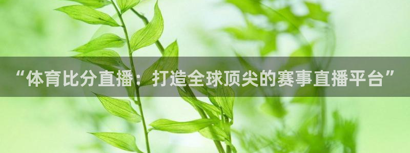 833直播体育nba：“体育比分直播：打造全球顶尖的赛事直播平台”