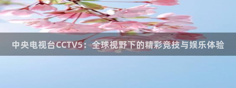 833直播nba免费观看高清直播