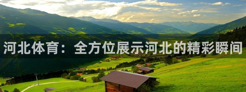 球帝833直播入口