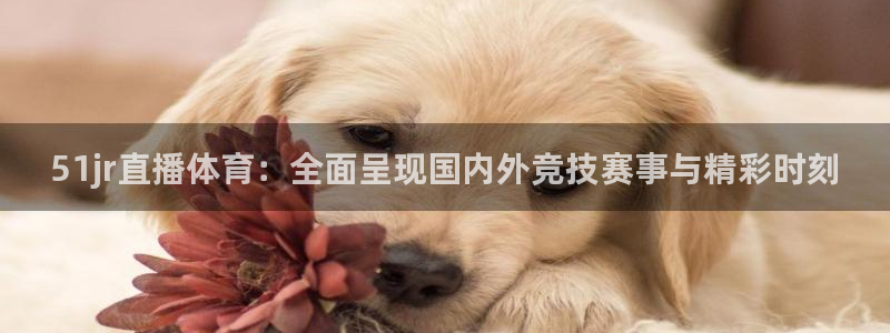 833体育在线直：51jr直播体育：全面呈现国内外竞技赛事与精彩时刻