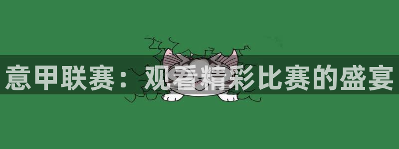 833直播足球比赛视频：意甲联赛：观看精彩比赛的盛宴