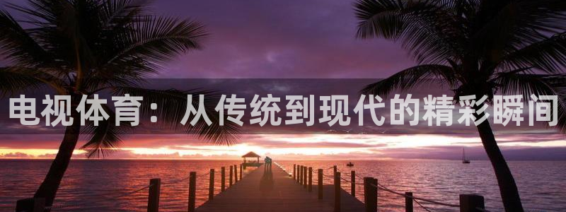 833体育免费直播：电视体育：从传统到现代的精彩瞬间